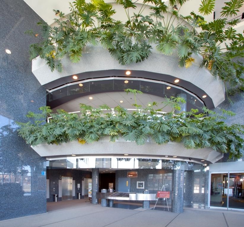 8000 DECARIE Office in Montreal