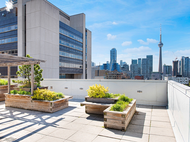 Elm Place Residential building in Toronto Elm Place Residential building in Toronto