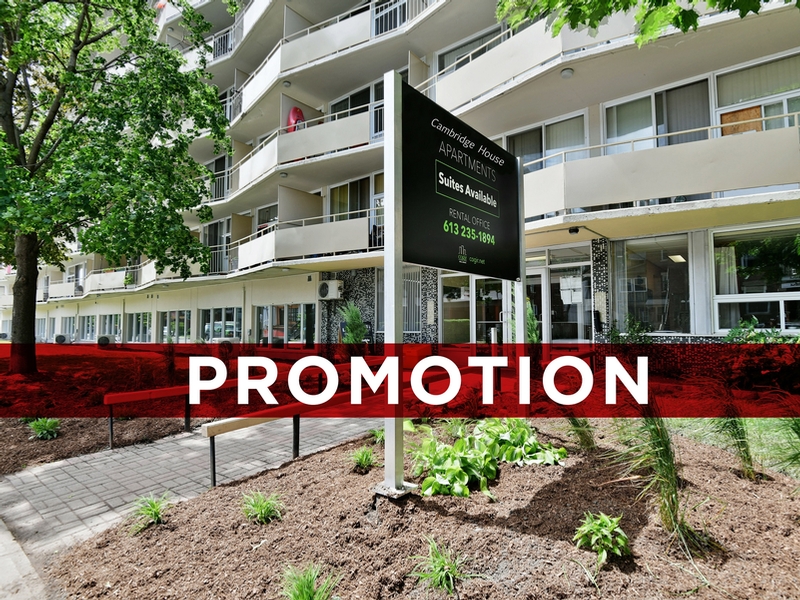 4 Bedroom House For Rent In Cambridge Ontario borisukun